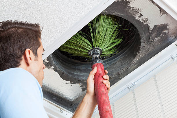 Best Air Duct Sanitizing Services  in Bridgeport, WV